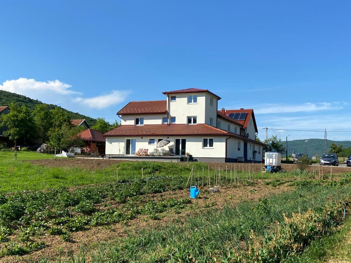 Apartman Fenestra s terasom i pogledom na Gacku Otočac Eksteriør billede